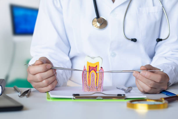 Best Urgent Dental Care for Toothaches in Swartz Creek, MI